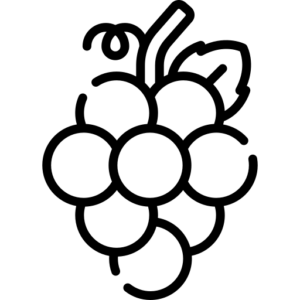 Cépage